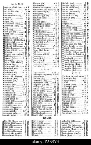 Un'illustrazione o una mappa del 1893 raffigurante Tunisi, che fornisce informazioni sulla struttura urbana, le rotte commerciali o l'architettura storica della città durante la fine del XIX secolo. Foto Stock