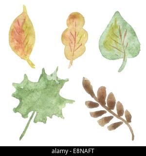 Illustrazione colorata con set di foglie di autunno su sfondo bianco Foto Stock