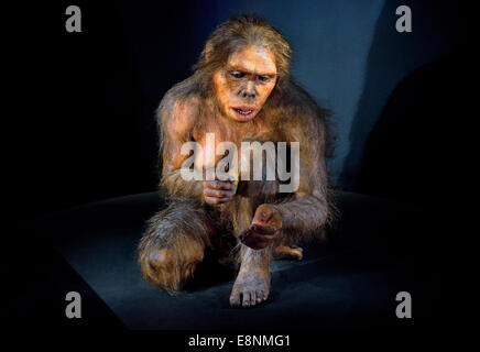 Spagna, Burgos: ominide "Lucy" (Australopithecus afarensis) nel Museo della evoluzione umana Foto Stock