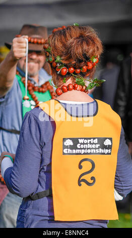 Southwick, UK. Xii oct, 2014. Mondo conker campionati, Southwick, vicino Oundle, Inghilterra, ottobre 2014. Credito: miscellanea/Alamy Live News Foto Stock