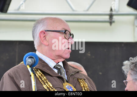 Brighton, Regno Unito. Xii Ottobre, 2014. Il sindaco e il Sindaco a Brightona Cuore Fondazione festival a Madera Drive Brighton, Sussex, Regno Unito. Credito: Paolo Briden/Alamy Live News Foto Stock