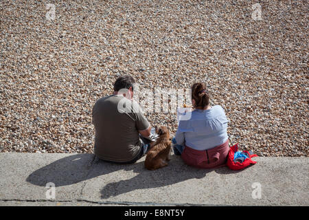 Paio mangiare pesce e patatine mentre seduto sul bordo di una spiaggia di ciottoli con un cane cerca su tra loro. Foto Stock