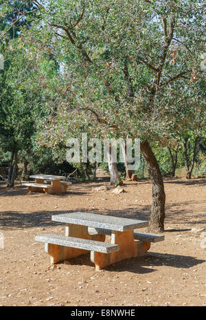 Tavoli da picnic nel parco Foto Stock