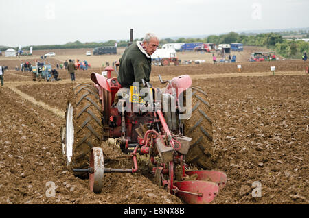 Milano, 12 ottobre 2014: un concorrente adegua la sua attrezzatura durante il British National Campionato di aratura. Foto Stock