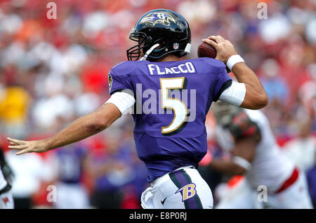 Tampa, FL, Stati Uniti d'America. Xii Ottobre, 2014. Baltimore Ravens quarterback Joe Flacco (5) scende di nuovo a passare nel terzo trimestre contro il Tampa Bay Buccaneers presso Raymond James Stadium di Tampa di domenica. Credito: ZUMA Press, Inc/Alamy Live News Foto Stock