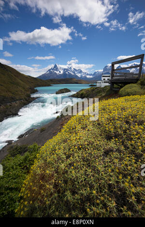 Torres del Paine mountain range, Patagonia, Cile, America del Sud. Foto Stock