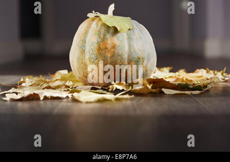 Zucca di Halloween presso il pavimento di legno con lasciare Foto Stock