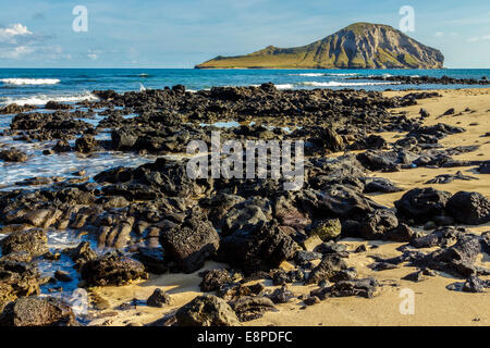 Manana Isola, comunemente conosciuto come isola dei conigli, in Waimanalo Bay su Oahu, Hawaii Foto Stock