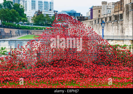 Papaveri in ceramica nel fossato che circonda la Torre di Londra, Londra, Regno Unito. Le coltivazioni di oppio sono un memoriale ai caduti WW1 Foto Stock