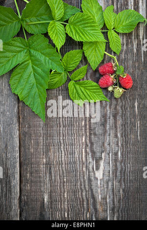 Vecchia scheda di legno decorate lampone e foglie Foto Stock