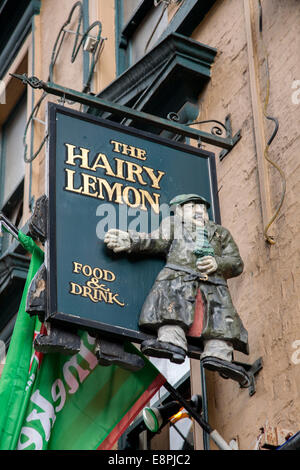 Il peloso Pub Limone segno, Dublino, Irlanda Foto Stock