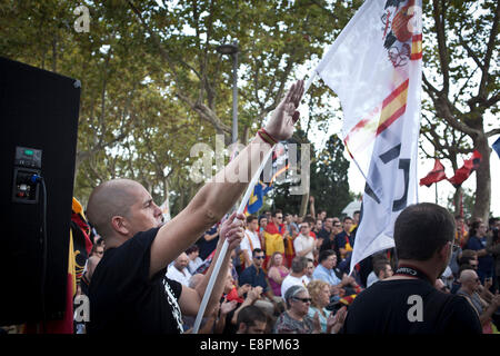 Barcellona, Spagna. Xii oct, 2014. I manifestanti facendo il saluto fascista spagnolo durante il nazionalismo Ultra intervento di questa mattina. Oltre 200 spagnolo ultra nazionalista civili ha celebrato questa mattina a Barcellona, la commemorazione annuale di ottobre xii come la nazionale spagnola di giorno. Credito: Cesar Gorriz Rey/Pacific Press/Alamy Live News Foto Stock