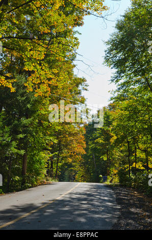 I colori autunnali nei pressi di Ottawa River Valley in giornata soleggiata Foto Stock