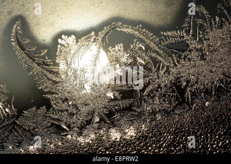 Frost traceries cresce su una finestra. Foto Stock