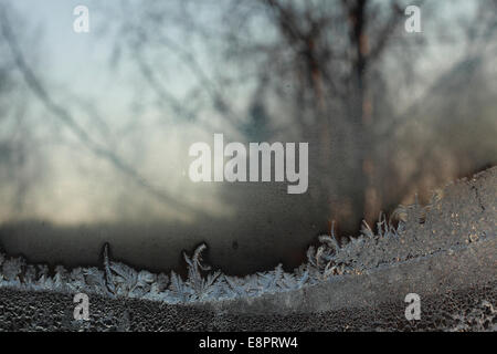 Frost traceries cresce su una finestra. Foto Stock