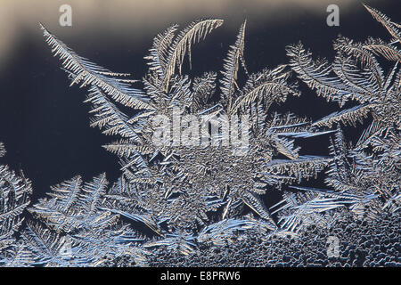 Frost traceries cresce su una finestra. Foto Stock