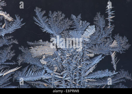 Frost traceries cresce su una finestra. Foto Stock