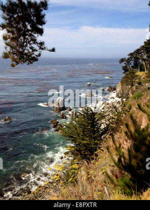 Vista da Esalen institue motivi a Big Sur Coutny di Monterey in California Foto Stock