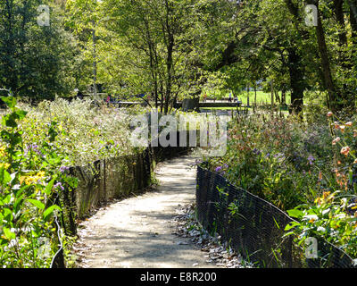 Percorso attraverso il giardino comunale in un parco pubblico in Hyde Park in inizio di caduta in Chicago, IL, Stati Uniti d'America. Foto Stock