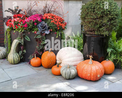Eleganti decorazioni di casa accogliente la caduta stagione. Foto Stock