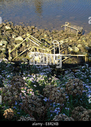 Vecchi carrelli della spesa lavato fino sulla riva del fiume Foto Stock