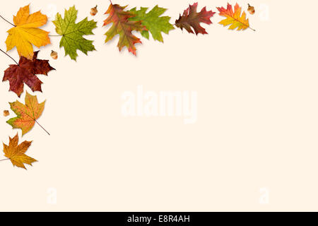 Un telaio realizzato con foglie di autunno isolato su sfondo beige Foto Stock