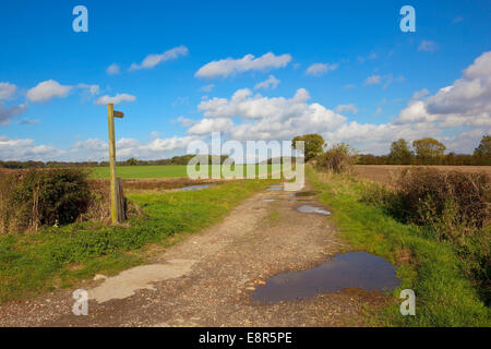 Un di legno sentiero pubblico segno da parte di un'azienda via con pozzanghere nel Yorkshire wolds campagna autunnale Foto Stock