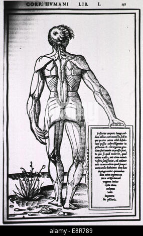 Creatore: Estienne, Charles, 1504-ca.1564, l'autore. Informazioni pubblicazione: Parisiis: Simonem Colinaeum, 1545. Viene visualizzato Foto Stock