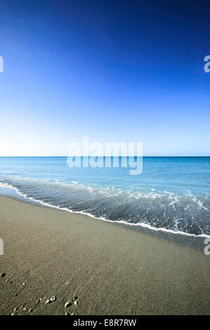 Immacolata mattinata su Empty Turtle Beach, Sarasota, Florida lungo il Golfo del Messico. Foto Stock