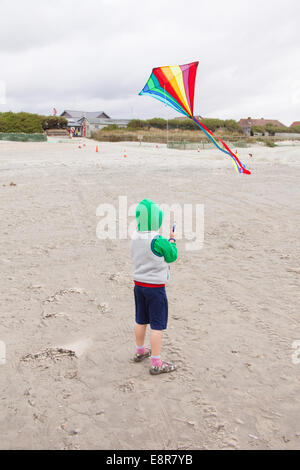 Aquiloni sulla West Wittering beach, West Sussex, in Inghilterra, Regno Unito. Foto Stock