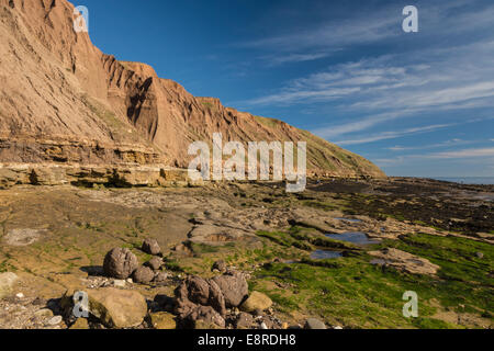 Filey Brigg presi da Filey Bay in una giornata di sole. Foto Stock