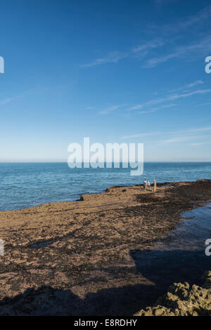 Vista da Filey Brigg a bassa marea guardando a nord-est verso il Mare del Nord. Foto Stock