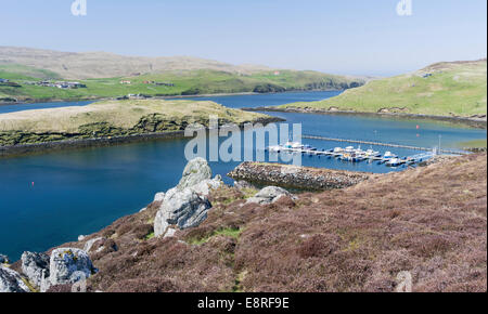 Sindrome di Muckle Roe, una piccola isola delle isole Shetland, vista sul Roe Suono, isole Shetland, Scozia. Foto Stock