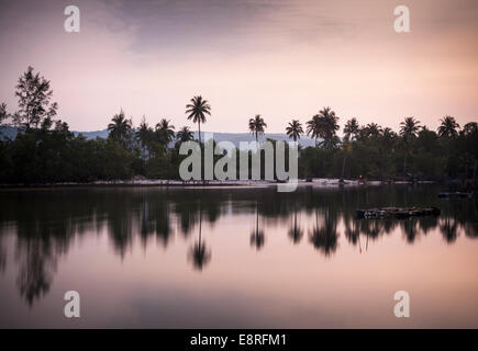 La riflessione della giungla in soluzione nelle acque d' estuario di albanese Prek Svay villaggio di pescatori su Koh Rong isola, Cambogia, al tramonto. Foto Stock