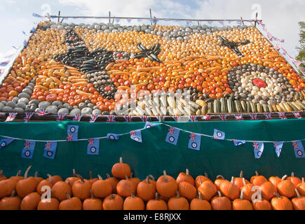 Visualizzazione di zucca zucca varietà Slindon, Agriturismo, West Sussex Foto Stock