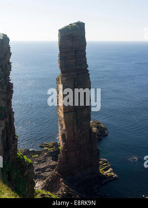 Due alpinisti sulla parte superiore del vecchio uomo Hoy, backlighted, Orkney Islands, Scozia. (Grandi dimensioni formato disponibile) Foto Stock