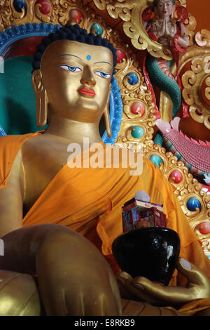 Statua di Buddha con offerte di cibo nel XVI secolo il monastero Matho in Ladakh Foto Stock