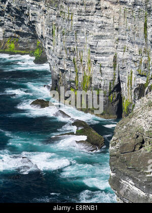 Le scogliere di Marwick Testa, Orkney Islands, Scozia. (Grandi dimensioni formato disponibile) Foto Stock