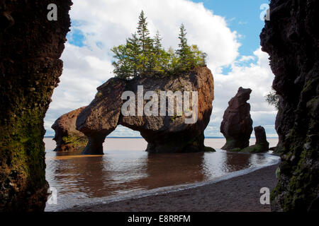 Hopewell rocce - Le rocce Parco Provinciale - Hopewell Cape, New Brunswick; Canada Foto Stock