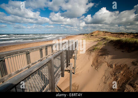 Dune di sabbia sulla spiaggia di Brackley - Prince Edward Island, Canada Foto Stock