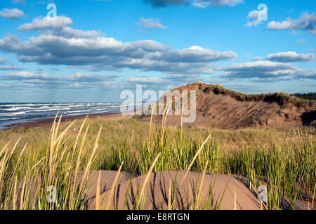 Dune di sabbia sulla spiaggia di Brackley - Prince Edward Island, Canada Foto Stock