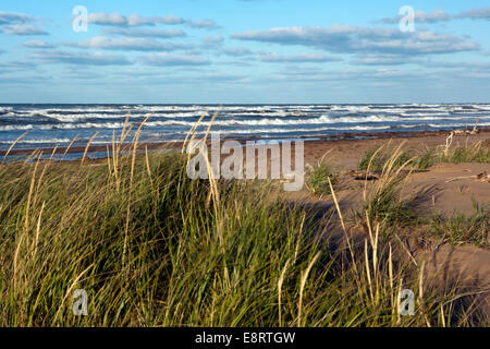 Brackley Beach - Prince Edward Island, Canada Foto Stock