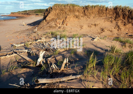 Brackley Beach - Prince Edward Island, Canada Foto Stock