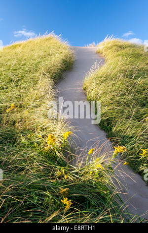 Le dune di sabbia sulla spiaggia di Brackley - Prince Edward Island, Canada Foto Stock