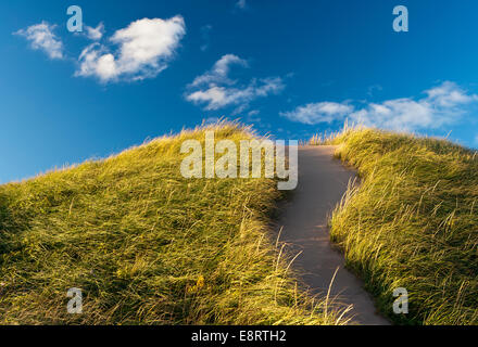 Le dune di sabbia sulla spiaggia di Brackley - Prince Edward Island, Canada Foto Stock