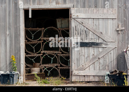 Fase di Pesca - Naufrage Harbour - Prince Edward Island, Canada Foto Stock