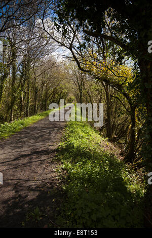 Regno Unito, Inghilterra, Devon, Est Yarde, Tarka Trail lungo in disuso la linea ferroviaria Foto Stock