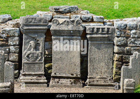 Tempio di mitra a partire dal III secolo, il vallo di Adriano, Carrawburgh, Northumberland, England, Regno Unito Foto Stock