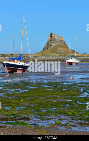 Barche a vela a bassa marea nella baia off Lindisfarne Castle, Lindisfarne in Northumbria, England, Regno Unito Foto Stock