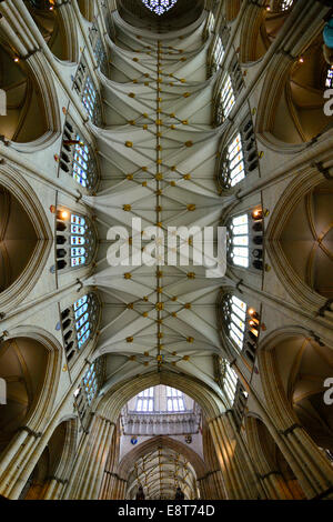 Soffitto a volte di York Minster, titolo formale 'Cattedrale Metropolitical e Chiesa di San Pietro ", York, North Yorkshire, Inghilterra Foto Stock